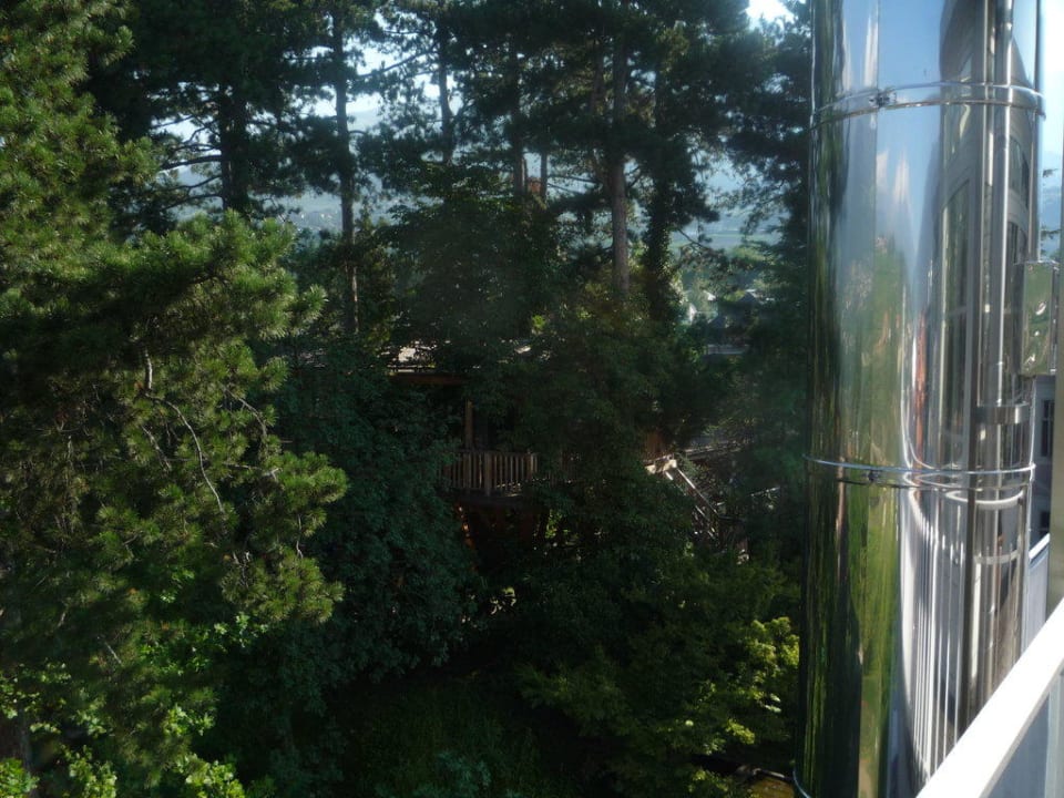 Casetta tra gli alberi Hotel Villa Irma