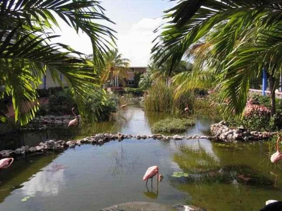 Aussenbereich der Lobby Paradisus Rio de Oro Resort & Spa - Adults only
