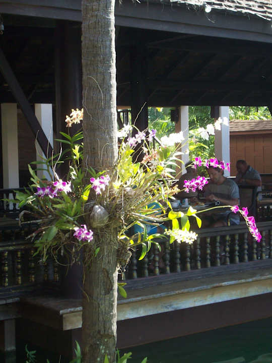Blumen Hotel Takolaburi Khao Lak