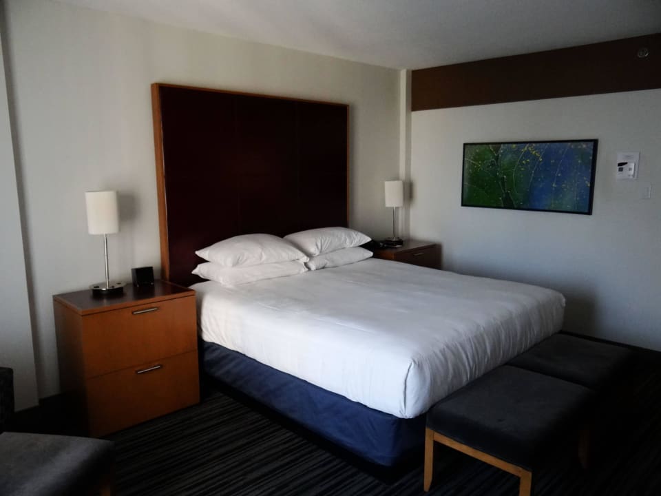 DZ Standard Hotel Hyatt Regency Vancouver