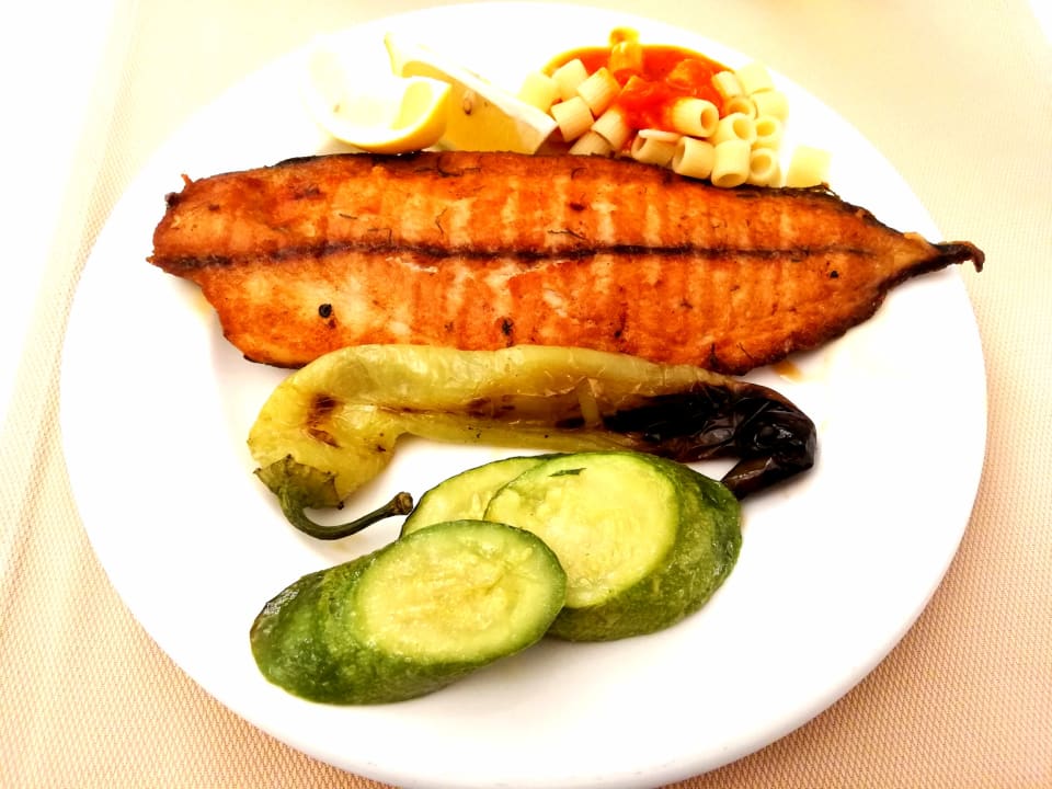 Gastro Adalya Elite Lara