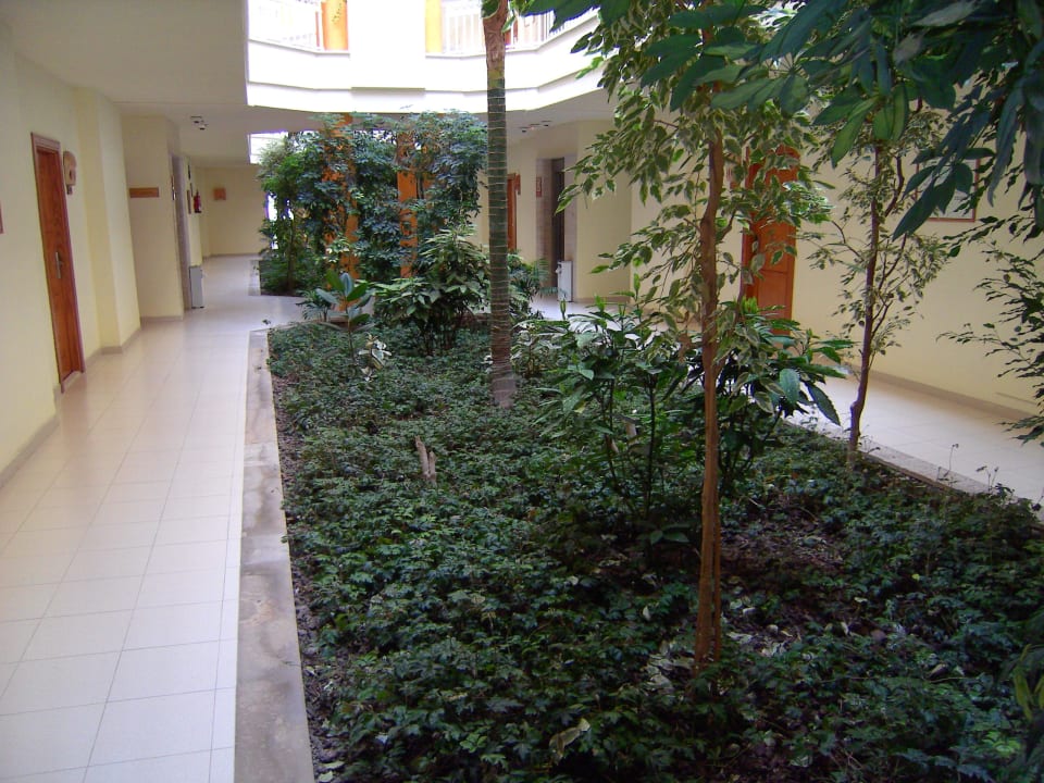 Innenhof - Zugang zu den Zimmern Prinsotel La Dorada