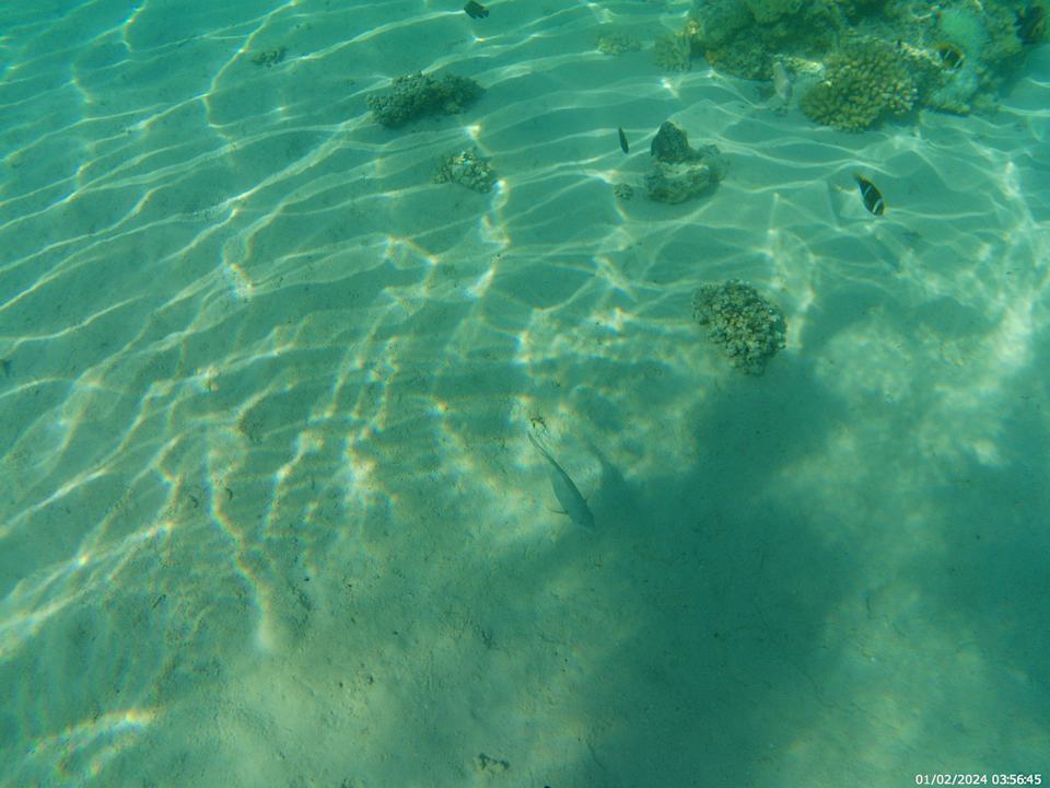 Strand The V Luxury Resort Sahl Hasheesh