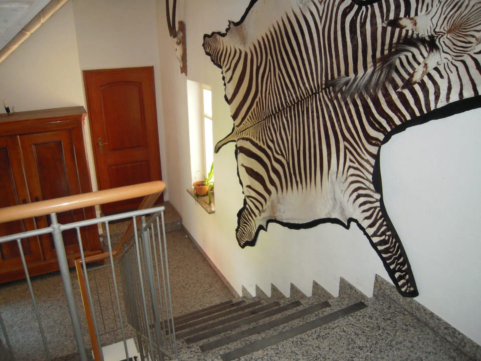Treppenhaus zur Ferienwohnung Waldblick Gut Hügle Erlebnisbauernhof