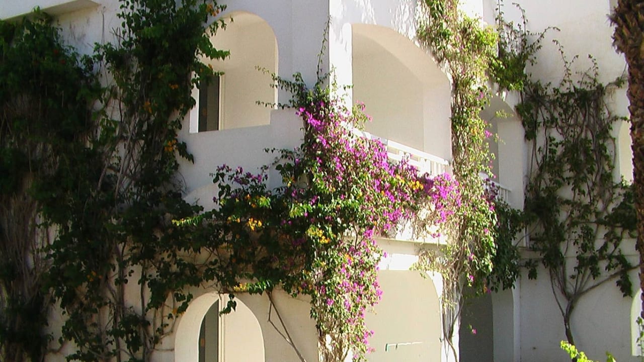 Gartenanlage Hotel Djerba Resort