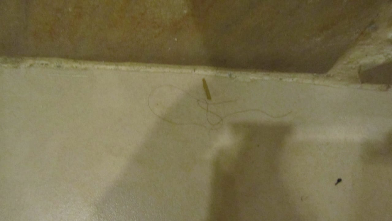 Überall Haare!!! Villas Bavaro Resort & Spa