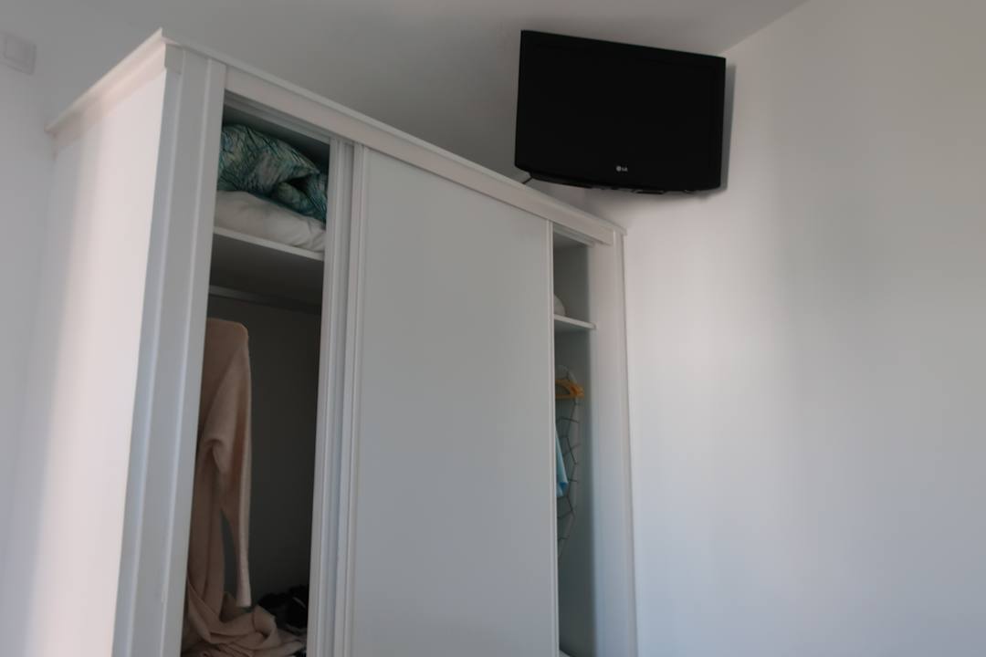 Zimmer Canary Garden Club