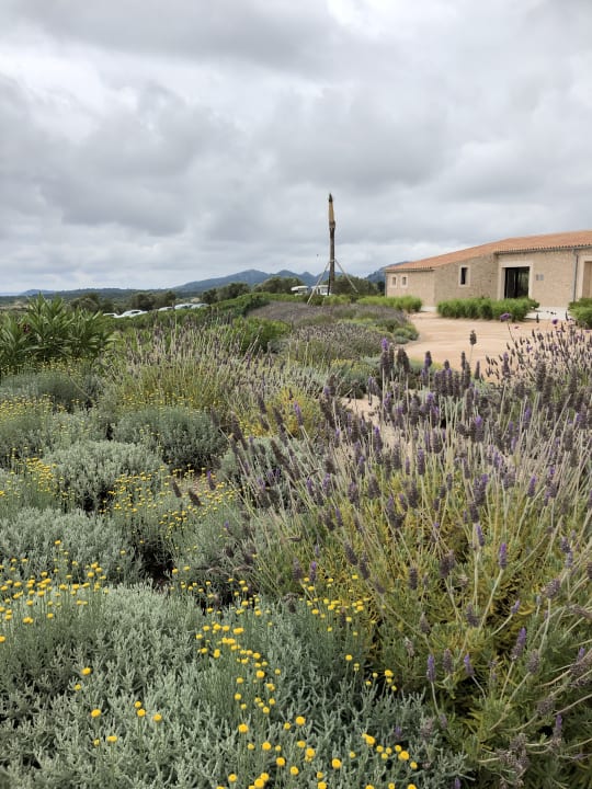 Ausblick Villa 3 - Carrossa Hotel Spa Villas