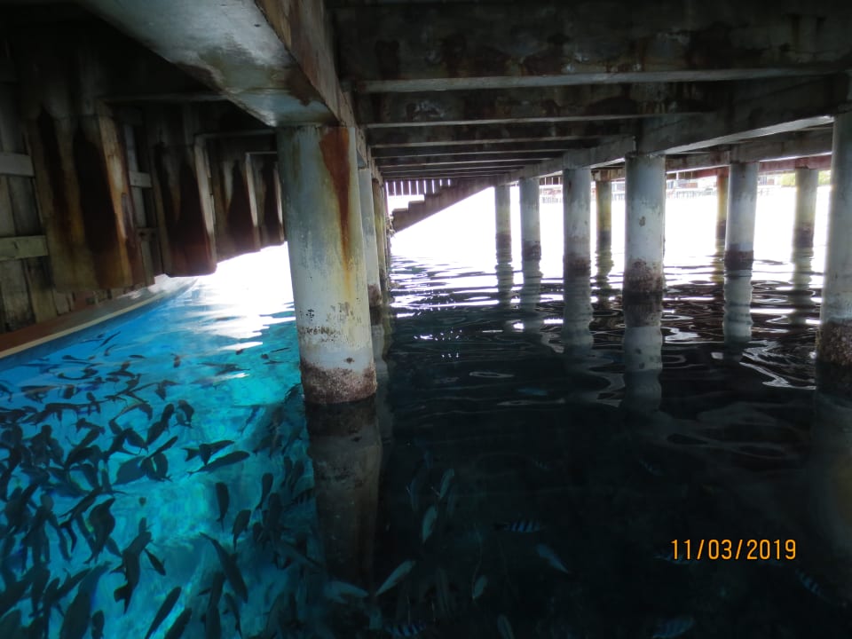 Ausblick Adaaran Select Meedhupparu Island Resort - Premium All Inclusive