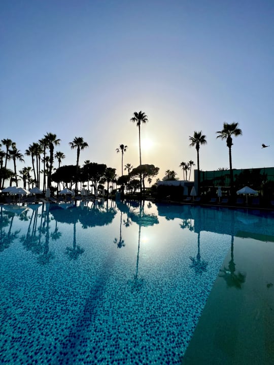 Pool Acanthus Cennet Barut Collection