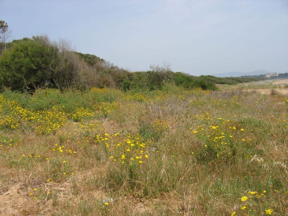 Wunderschöne Blumen Club Esse Selinunte Beach