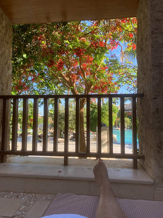 Zimmer Makadi Spa - Adults only