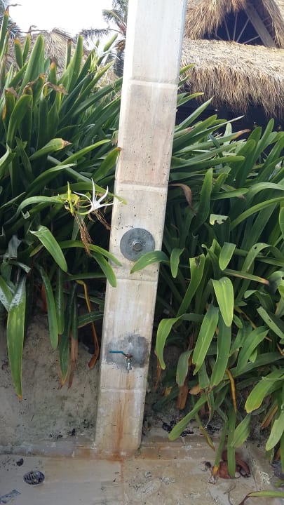 Strand Punta Cana Princess All Suites Resort & Spa