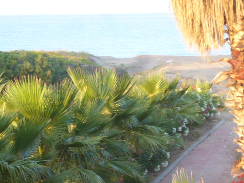 Gartenanlage Skys Hotel