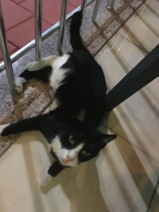 Sonstiges Seher Kumköy Star Resort & Spa