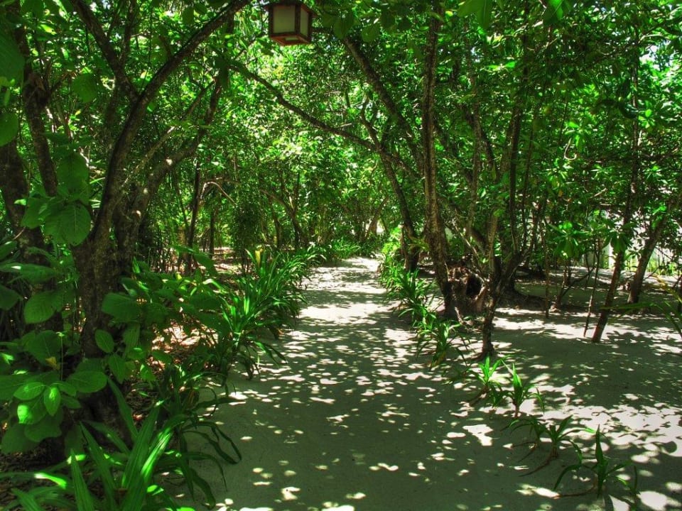 Inselwege Reethi Beach Resort