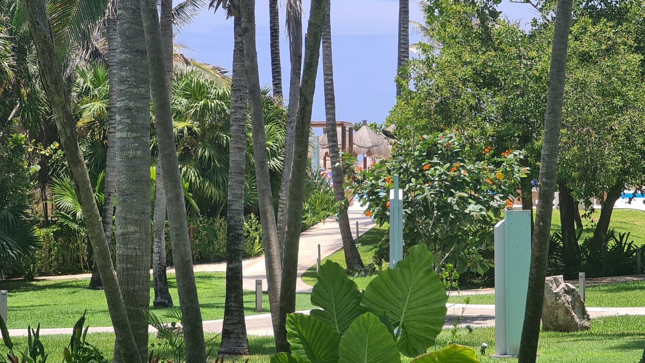 Gartenanlage Bahia Principe Grand Tulum