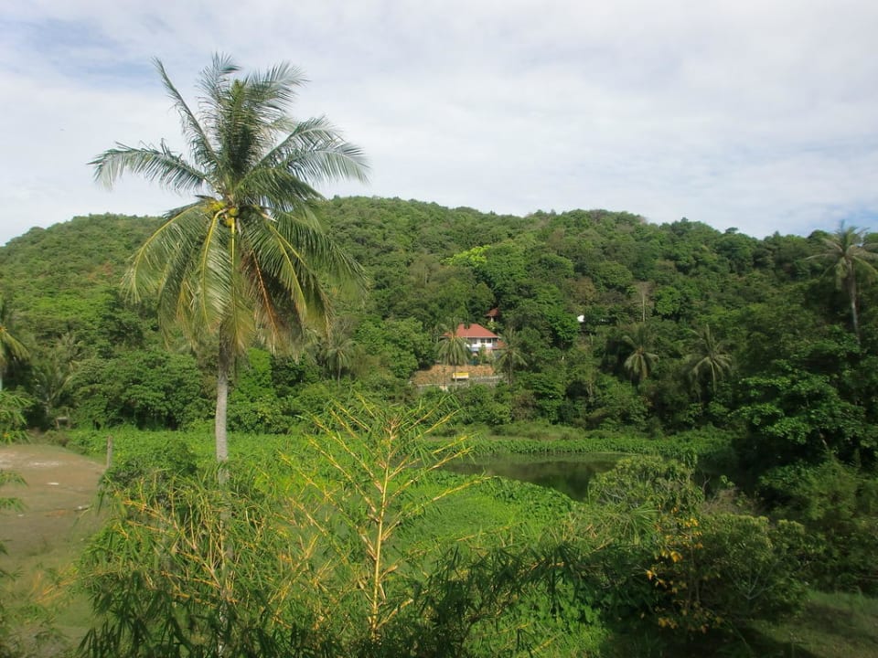 Zimmeraussicht Hotel The Lanai Beach Resort