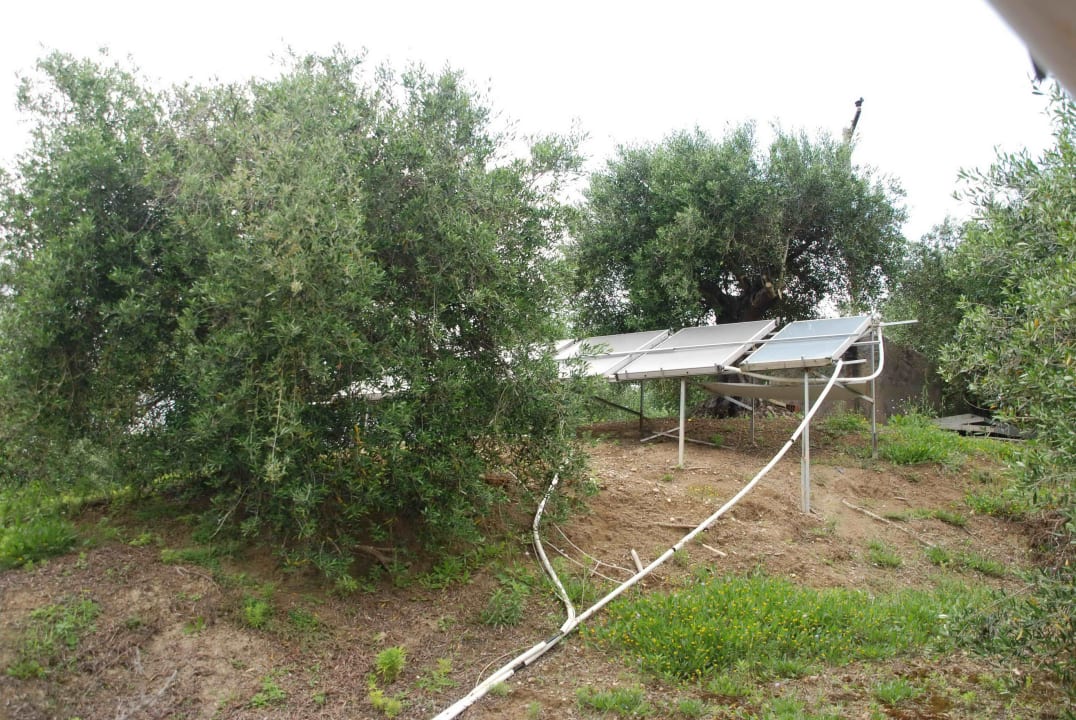 Gartenanlage Maltas Studios