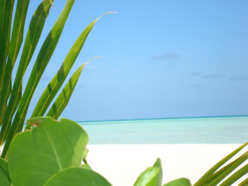 Meer Cinnamon Hakuraa Huraa Maldives