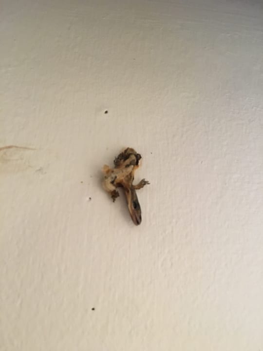 Zimmer Centara Villas Samui