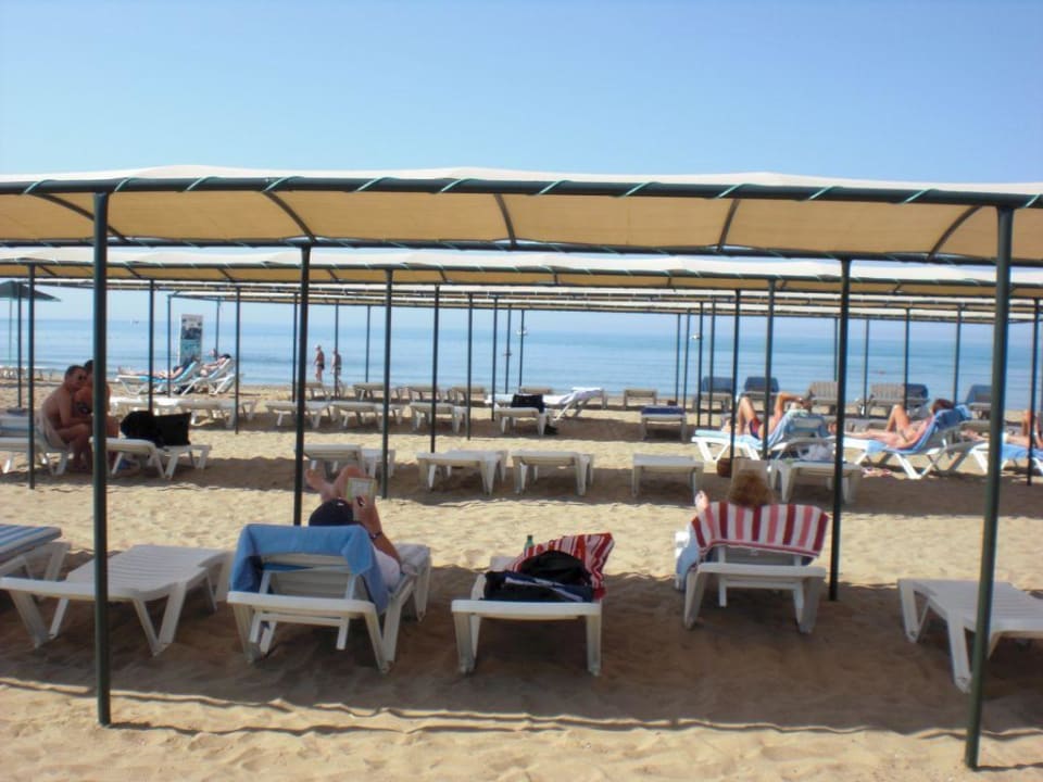 Strand Calimera Hane Garden