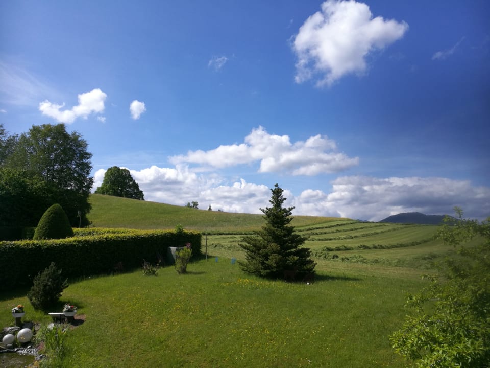 Ausblick Ferienwohnungen Gästehaus Alpenglüh'n