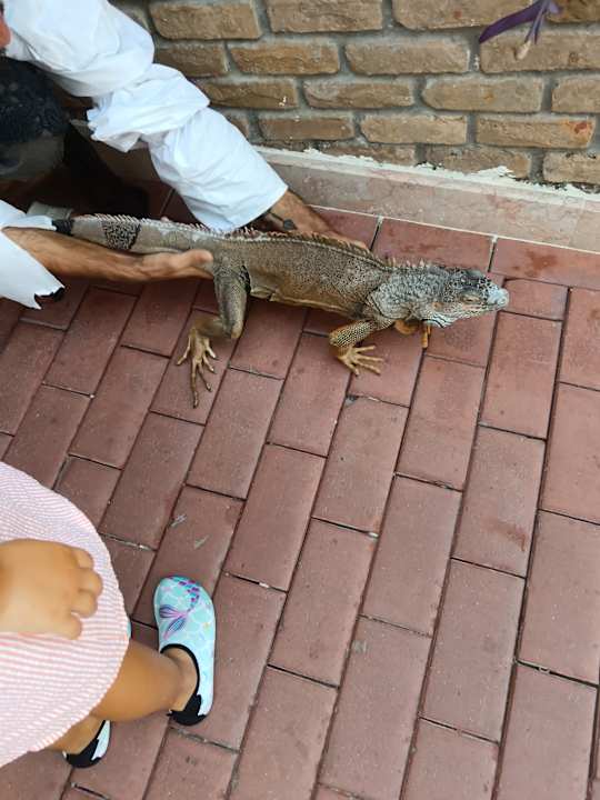 Sonstiges Seaden Corolla Hotel