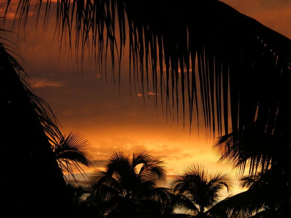 Sonnenaufgang Grand Sirenis Punta Cana Resort & Aquagames