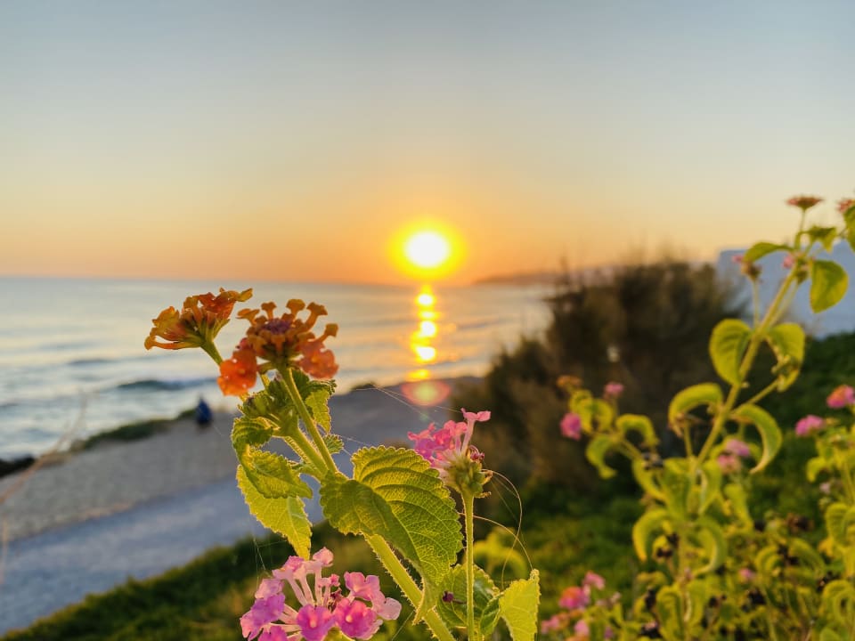 Ausblick Alexander Beach Hotel & Village Resort