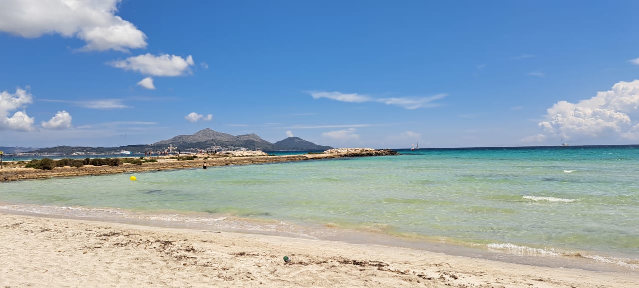 Strand JS Alcudi Mar
