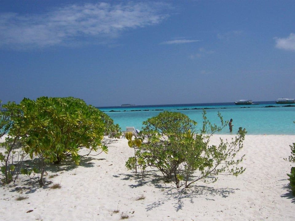 Traumstrand Summer Island Maldives