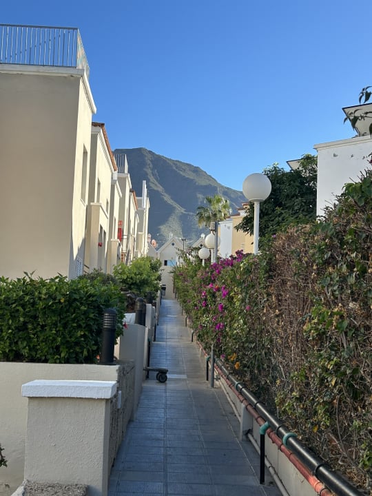 Gartenanlage Los Olivos Beach Resort