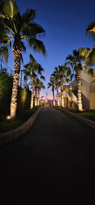 Gartenanlage Grand Hotel Holiday Resort