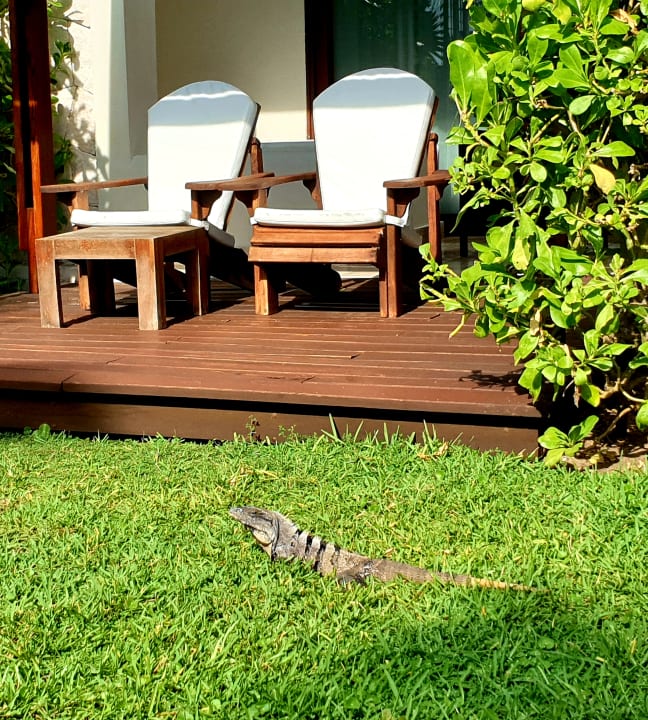 Zimmer Akumal Bay Beach & Wellness Resort