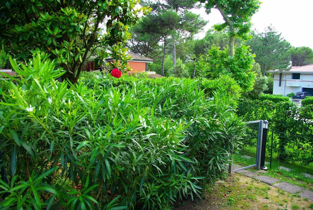 Im Garten Villa Erica