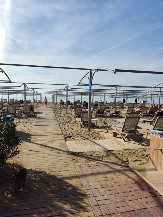 Strand Calimera Hane Garden
