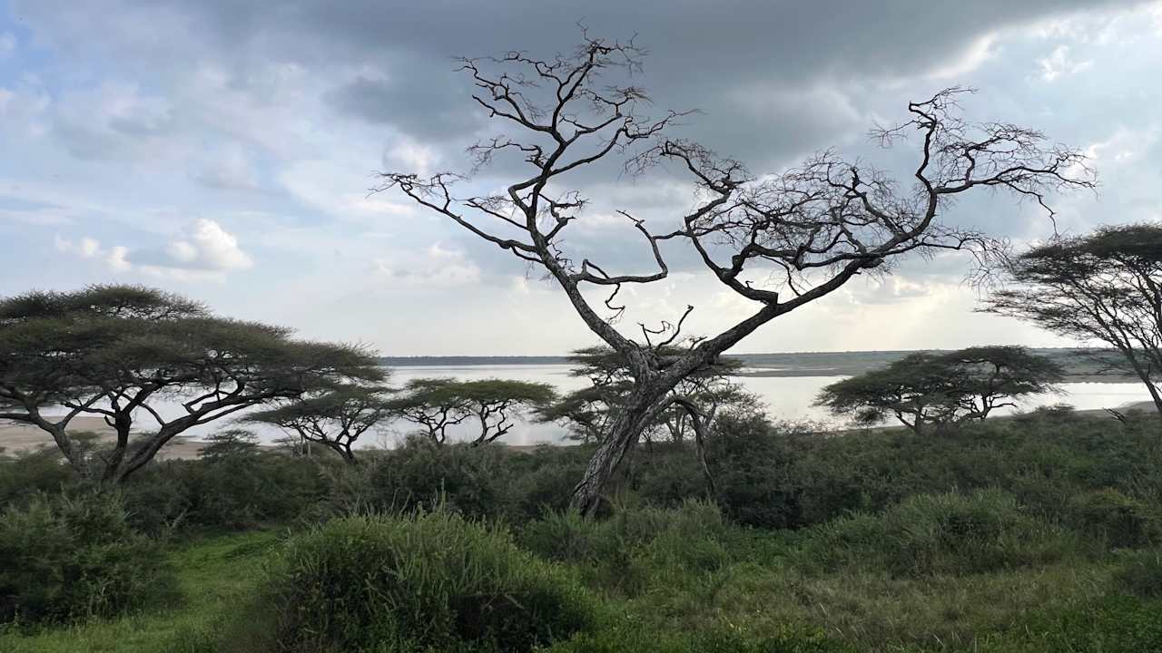 Ausblick Ndutu Kati Kati Tented Camp
