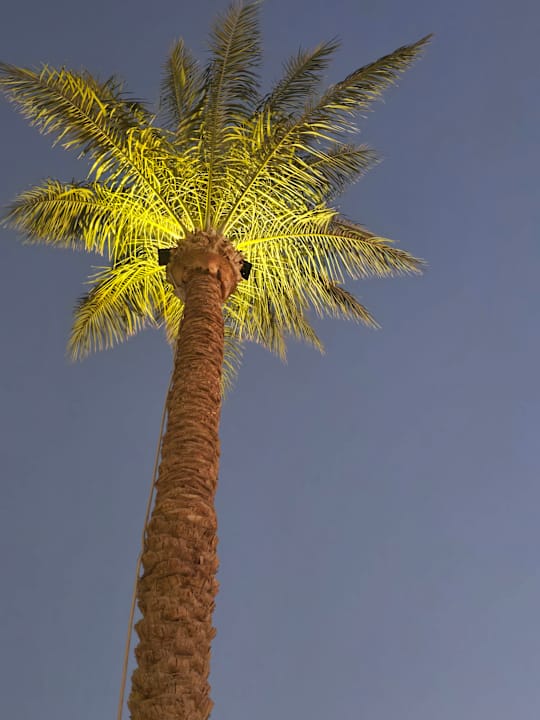 Außenansicht Pickalbatros Dana Beach Resort - Hurghada