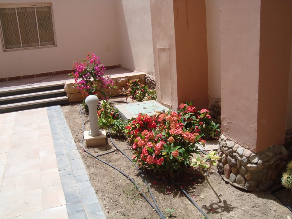 Sonstiges Beach Albatros Resort