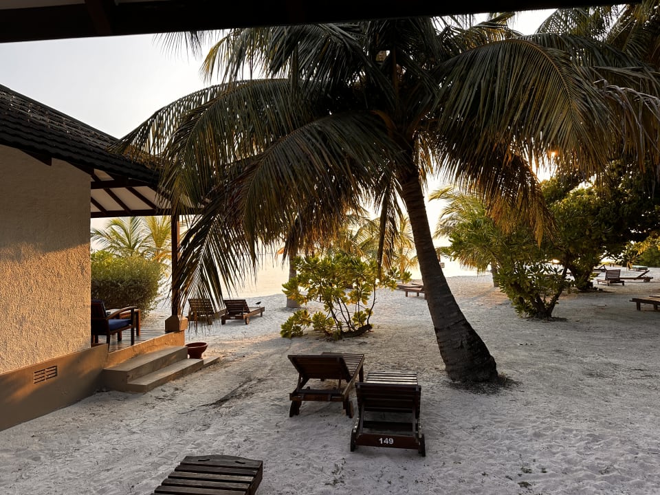Gartenanlage Adaaran Select Meedhupparu Island Resort - Premium All Inclusive