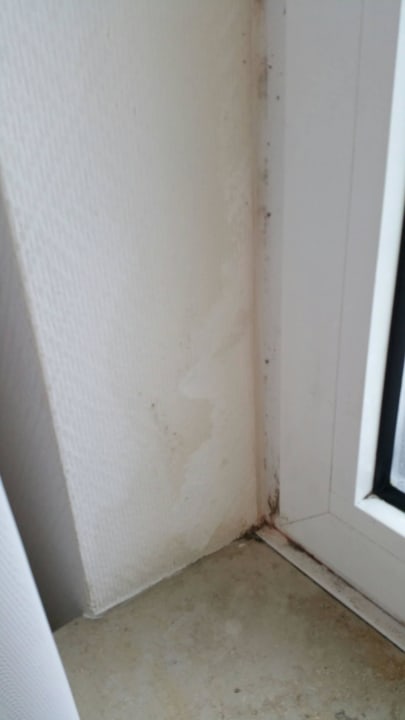 Re Fenster/linke wand AKZENT Hotel Aufkirchen