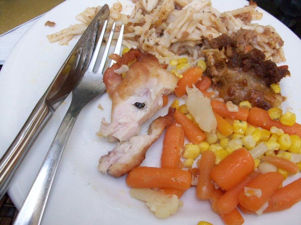 Fliege im Essen vom Buffet Imperial Palace Hotel