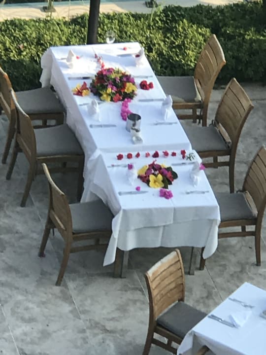 Gastro Side Star Elegance