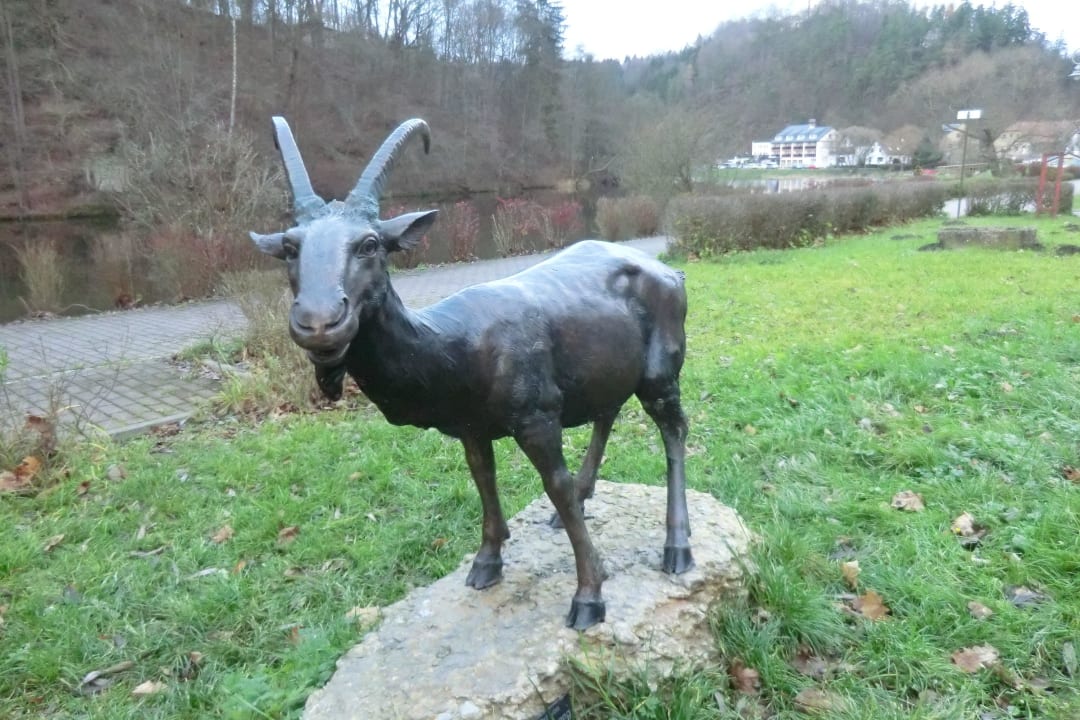 Ziege in Ziegenrück mit Hotel im Hintergrund Hotel Am Schlossberg