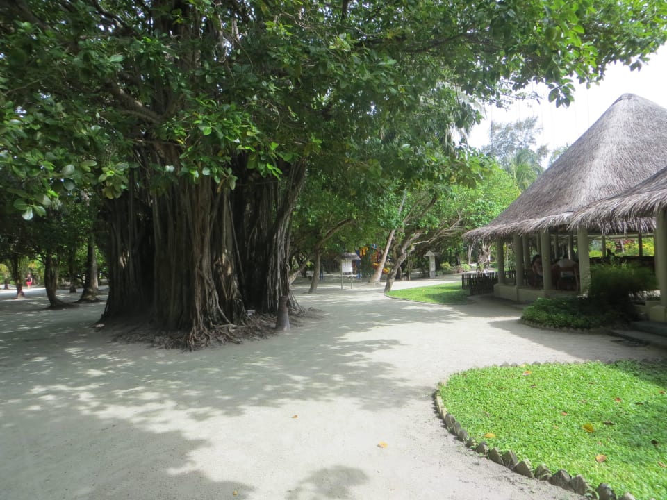 Um den Spa Bereich herum Adaaran Select Hudhuran Fushi - Premium All Inclusive