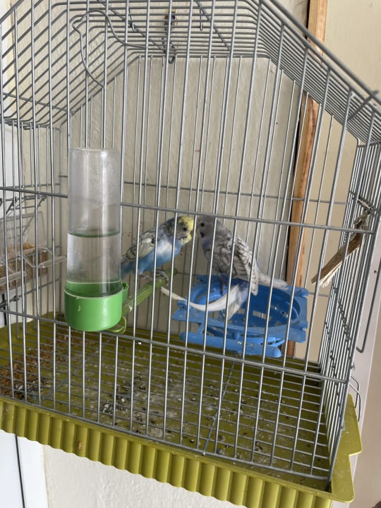 Sport & Freizeit TUI MAGIC LIFE Penelope Beach