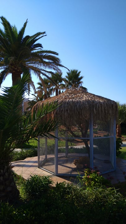 Gartenanlage Anissa Beach & Village