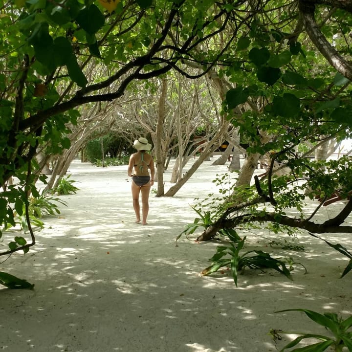 Gartenanlage Summer Island Maldives