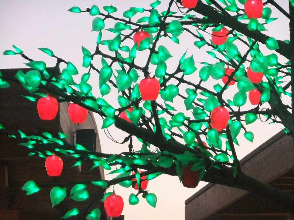 Poolbar - süße Äpfel  Three Corners Happy Life Beach Resort